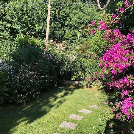Lejlighed 2 Bedroom Ground Floor - Meadow Views *
